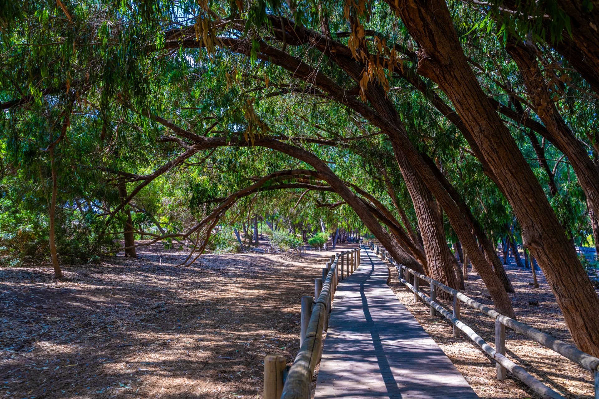 Parque Natural de las Lagunas de la Mata 2
