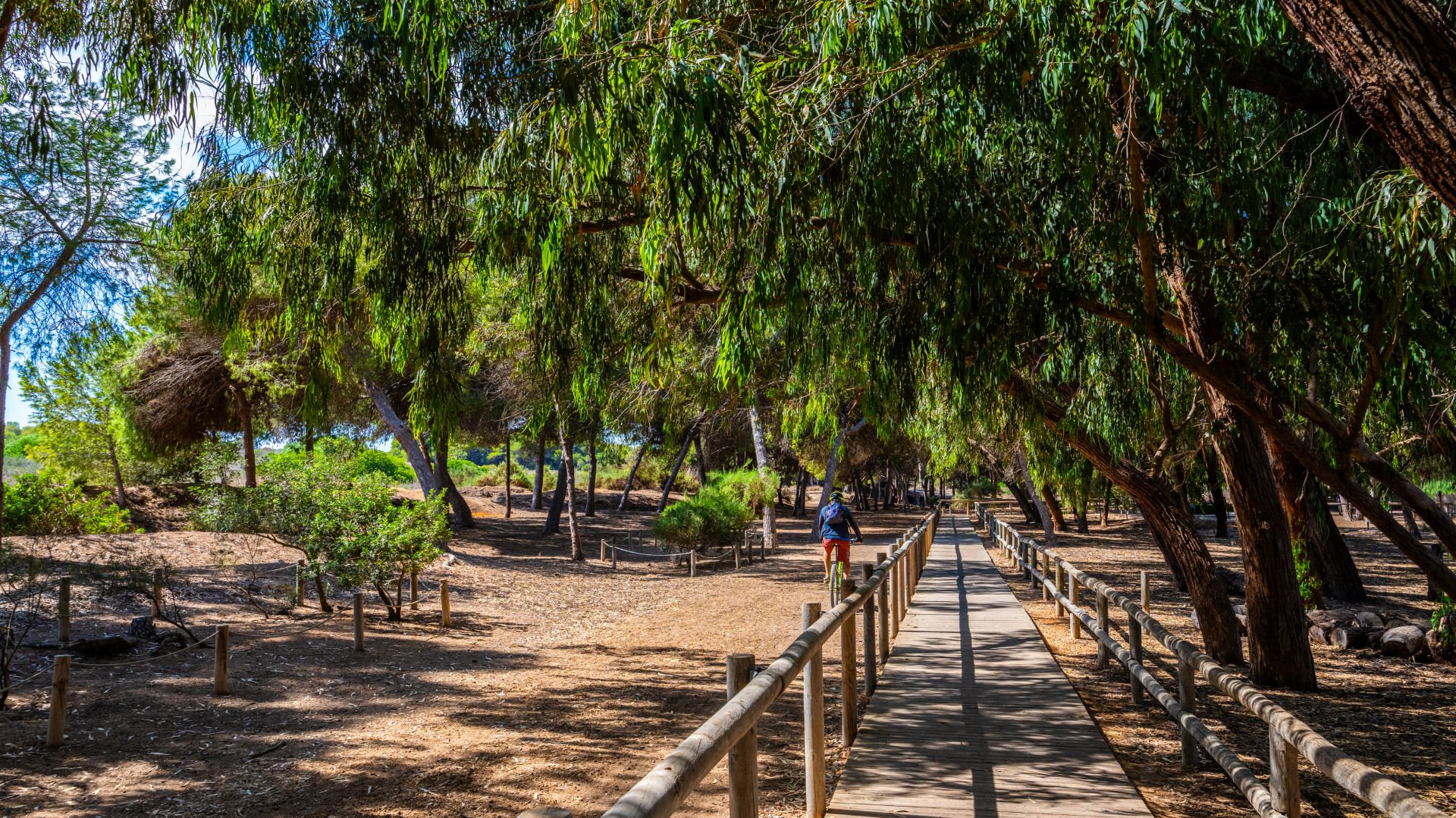 Parque Natural de las Lagunas de la Mata 3