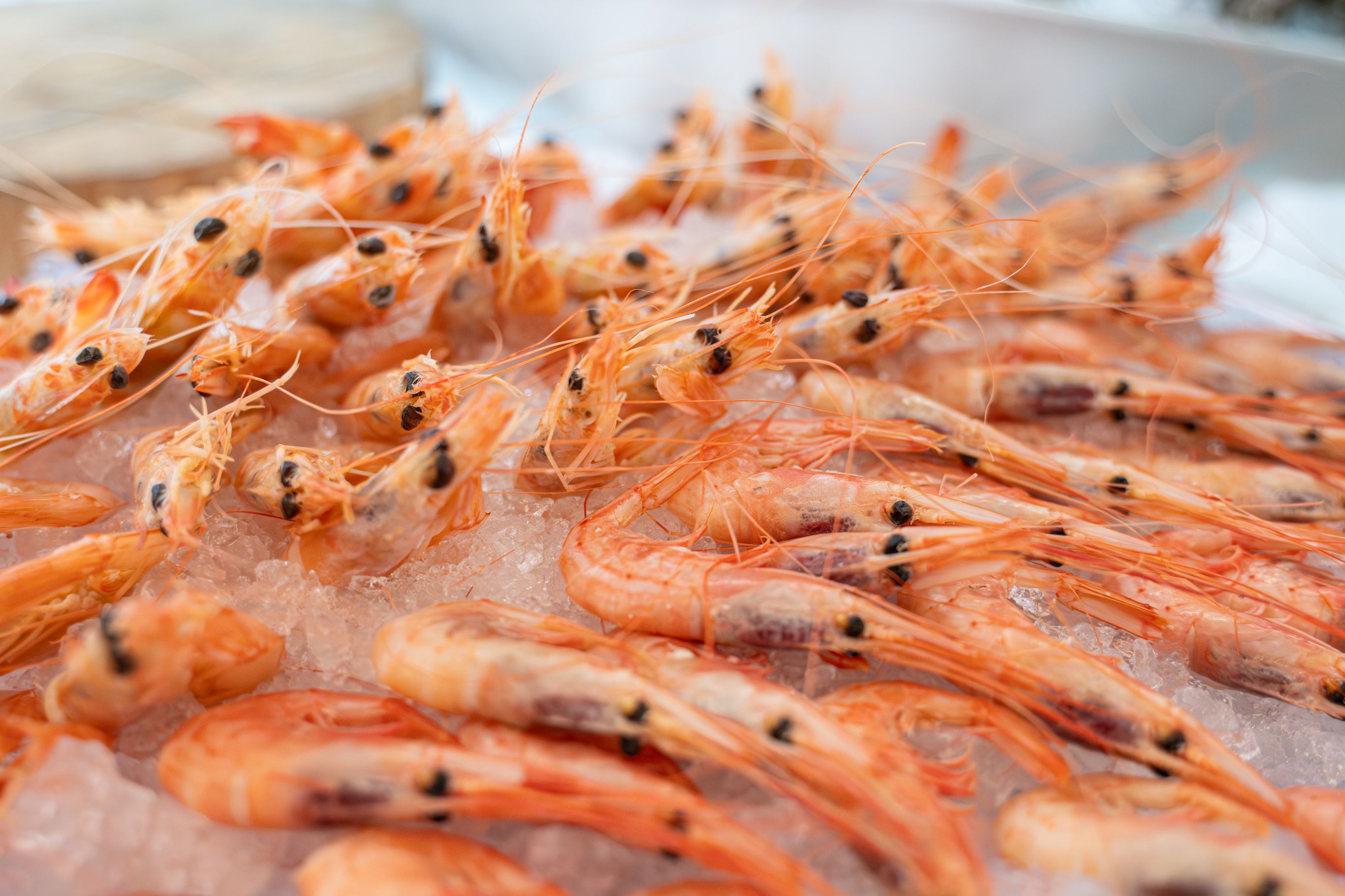 Banner donde Comer