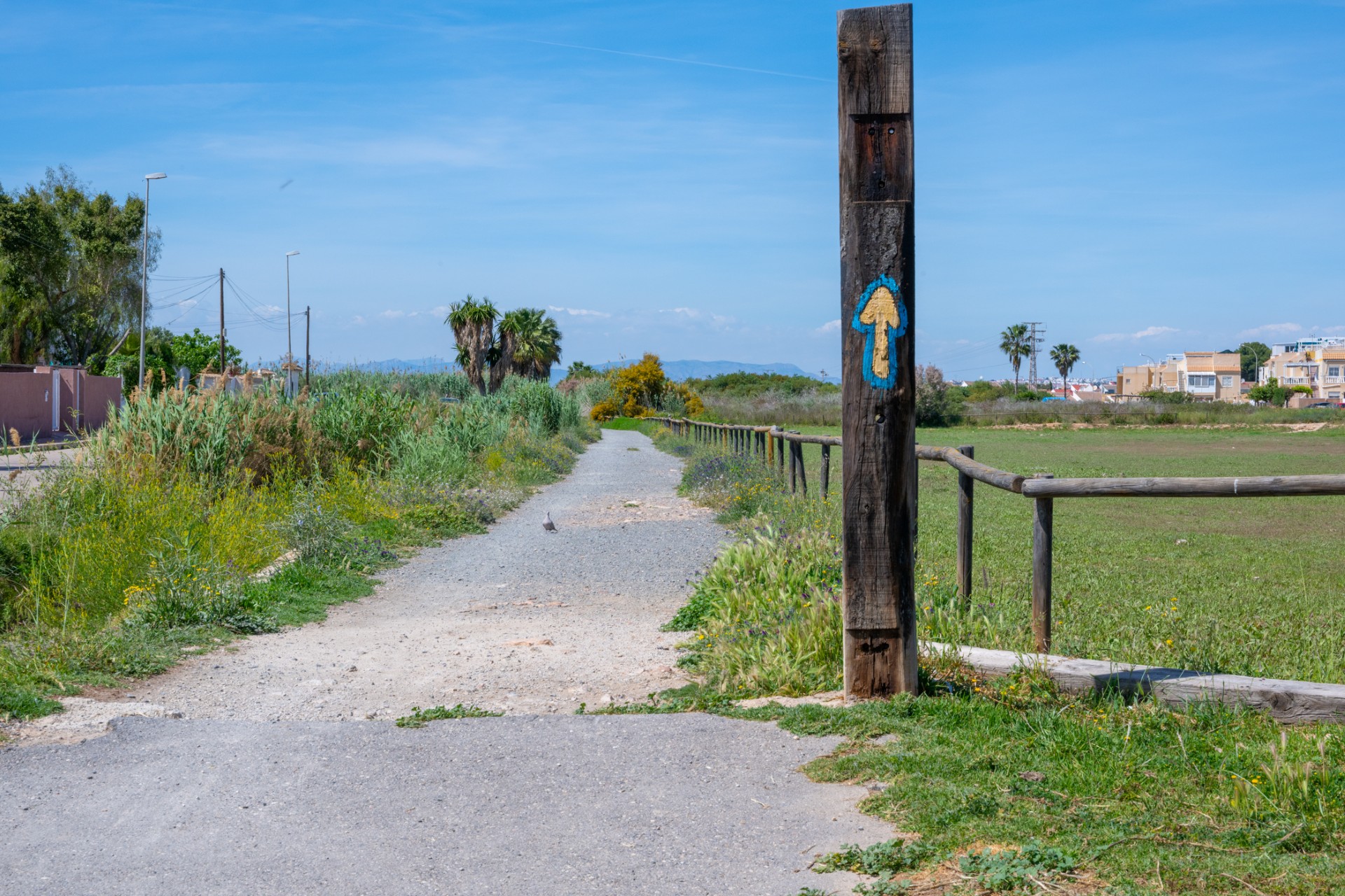 Vía Verde de Torrevieja