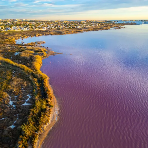 Laguna Rosa