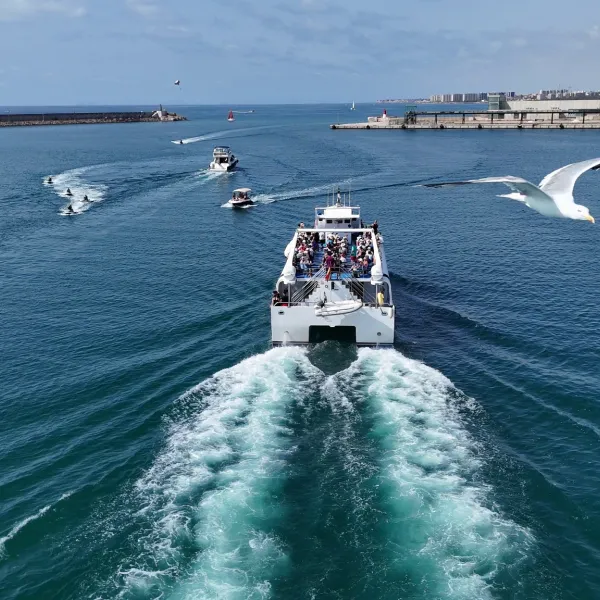 barco 