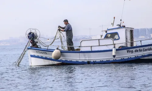 Pesca