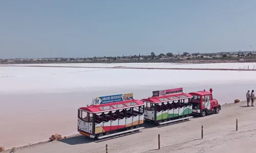 TRAINVISION
