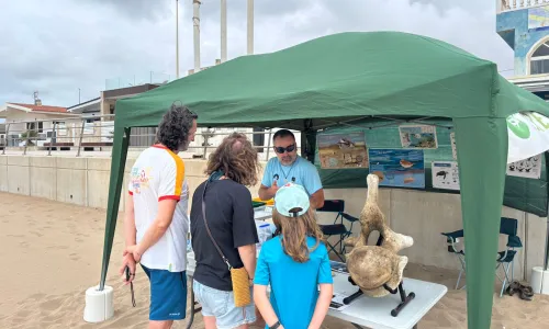 Taller ambiental en Cala Piteras