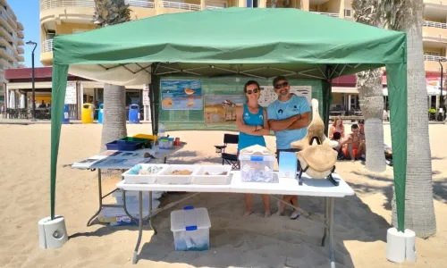 Taller ambiental en la Cala de Cabo Cervera