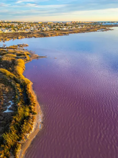 Laguna Rosa