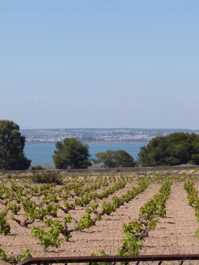 Parque Natural de La Mata 