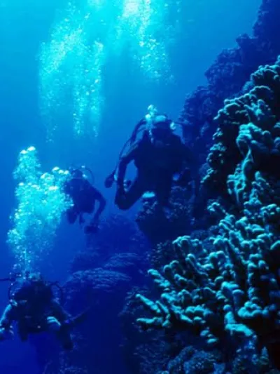 Buceo Torrevieja