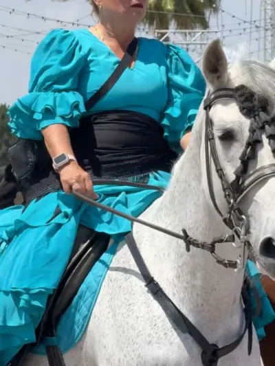 caballos en la feria