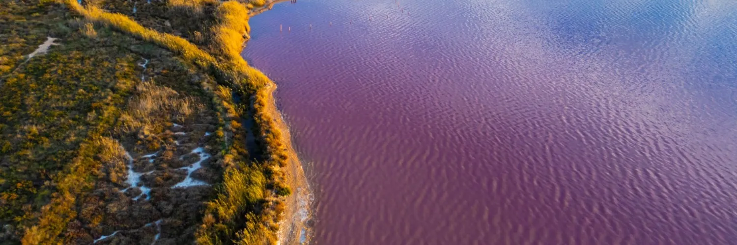 Laguna Rosa