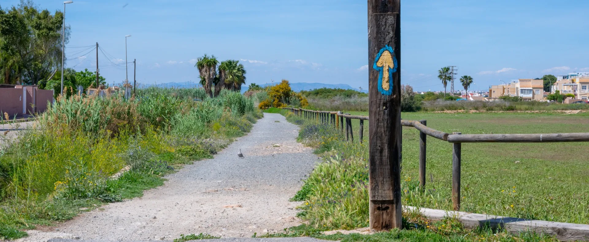 Vía Verde de Torrevieja