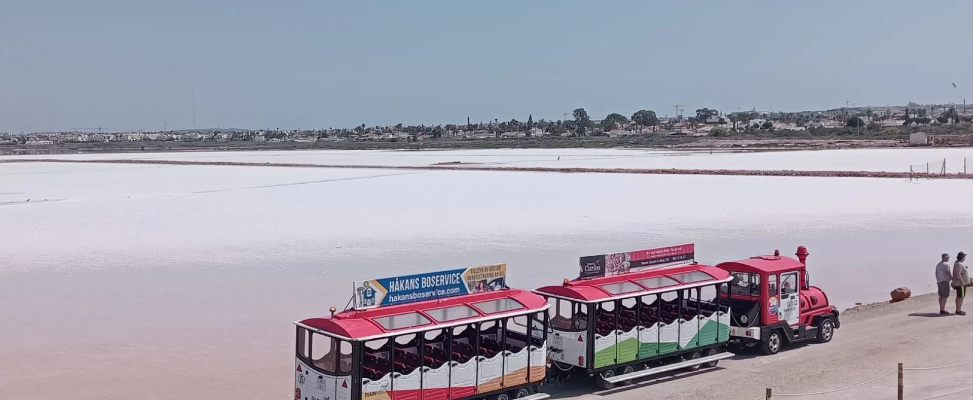 Visita del tren turístico dentro de las salinas de Torrevieja