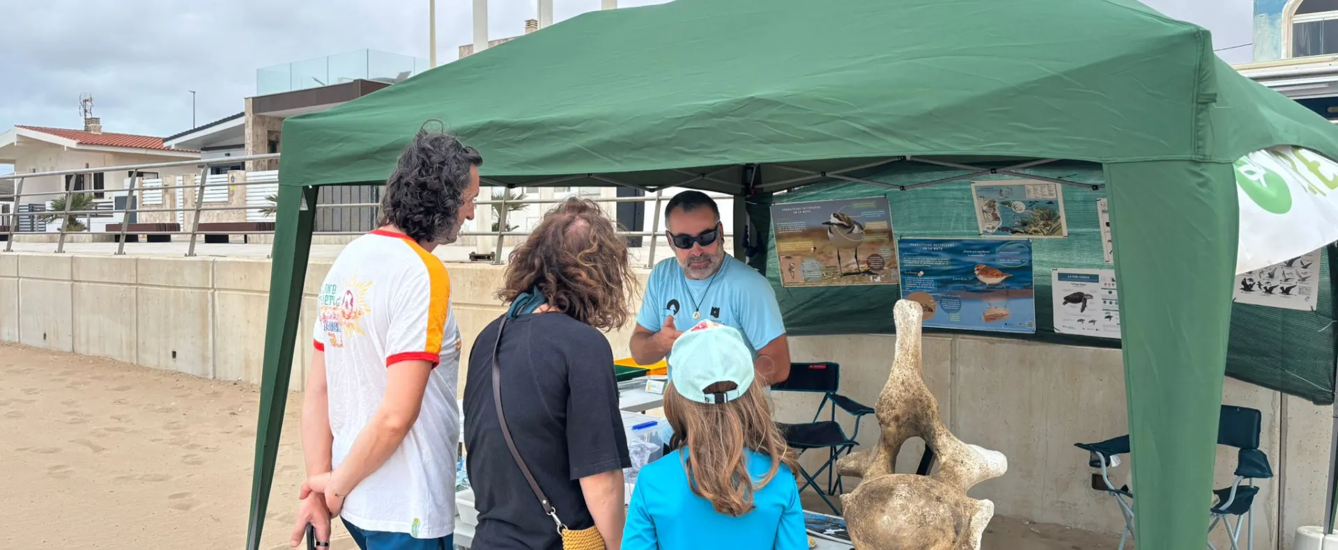 Monitor explicando
