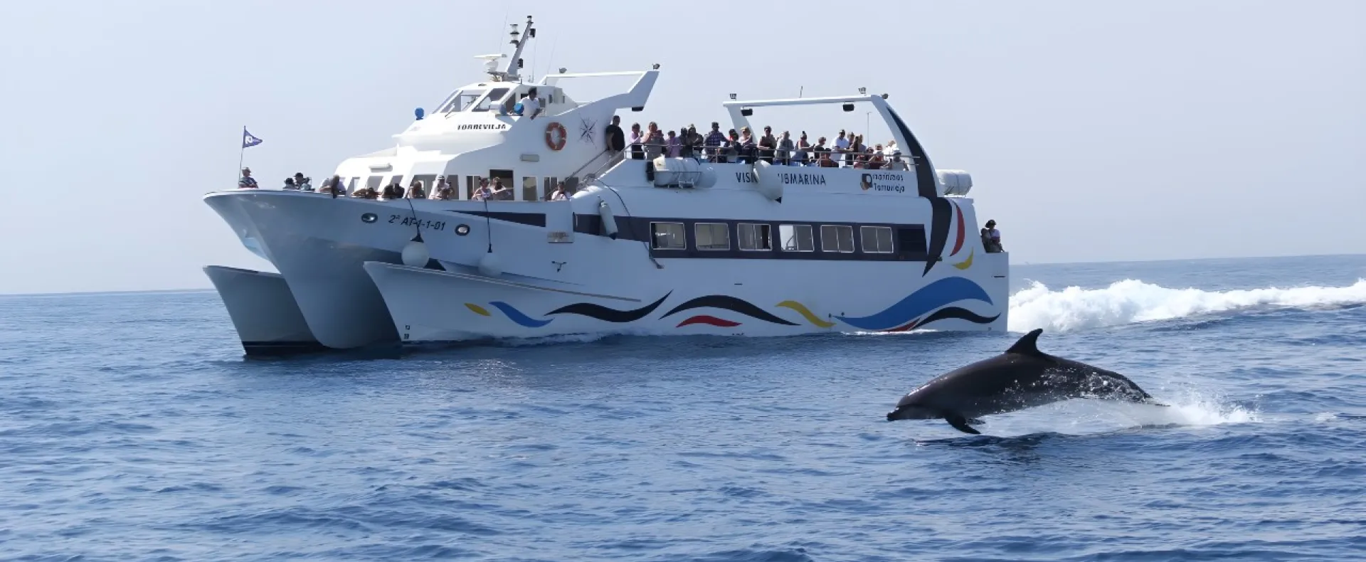 Barco a Tabarca con delfines