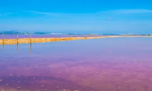 Laguna Rosa