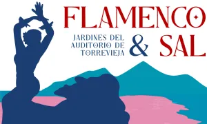 Flamenco & Sal: Flamenco viene del Sur