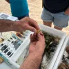 Taller ambiental en la playa del Cura